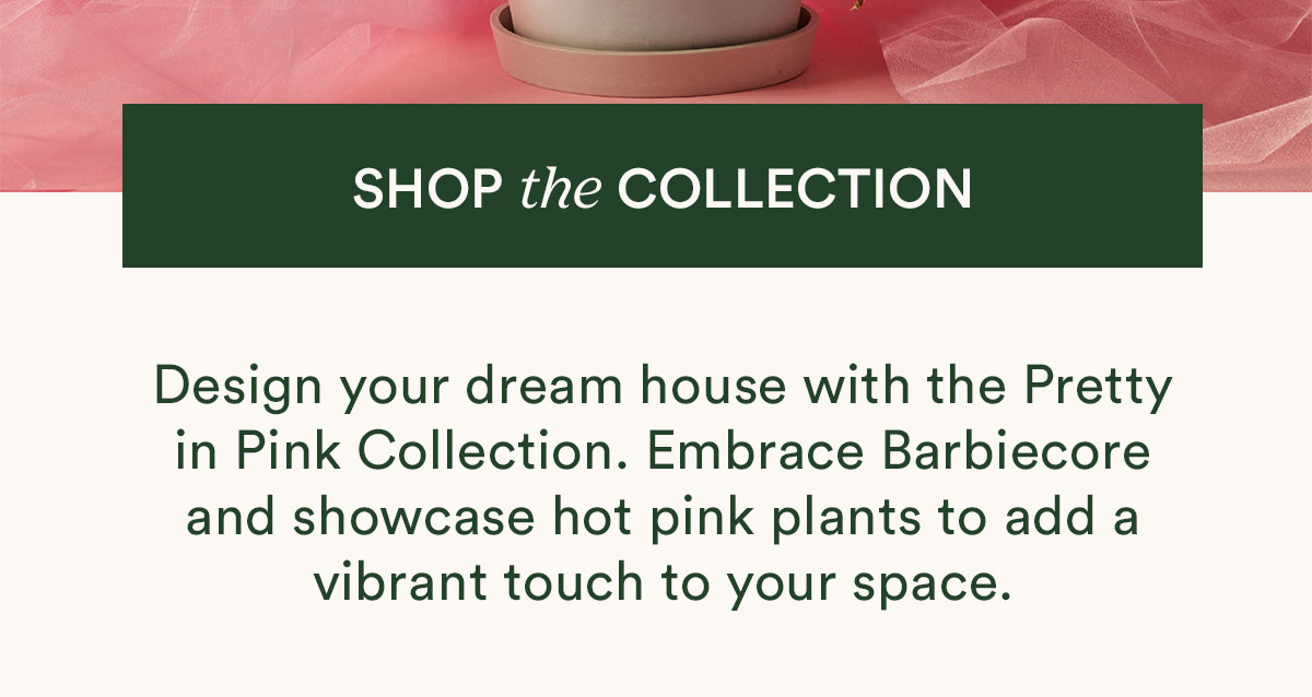 Shop the Pretty in Pink Collection