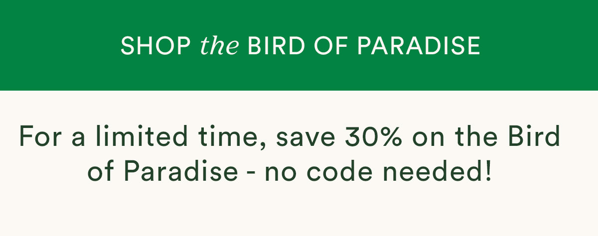 Shop the Bird of Paradise