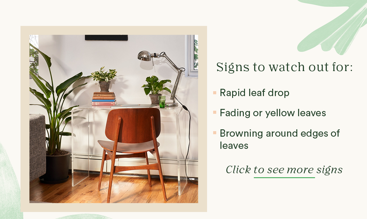 Click to see the signs of A/C damage