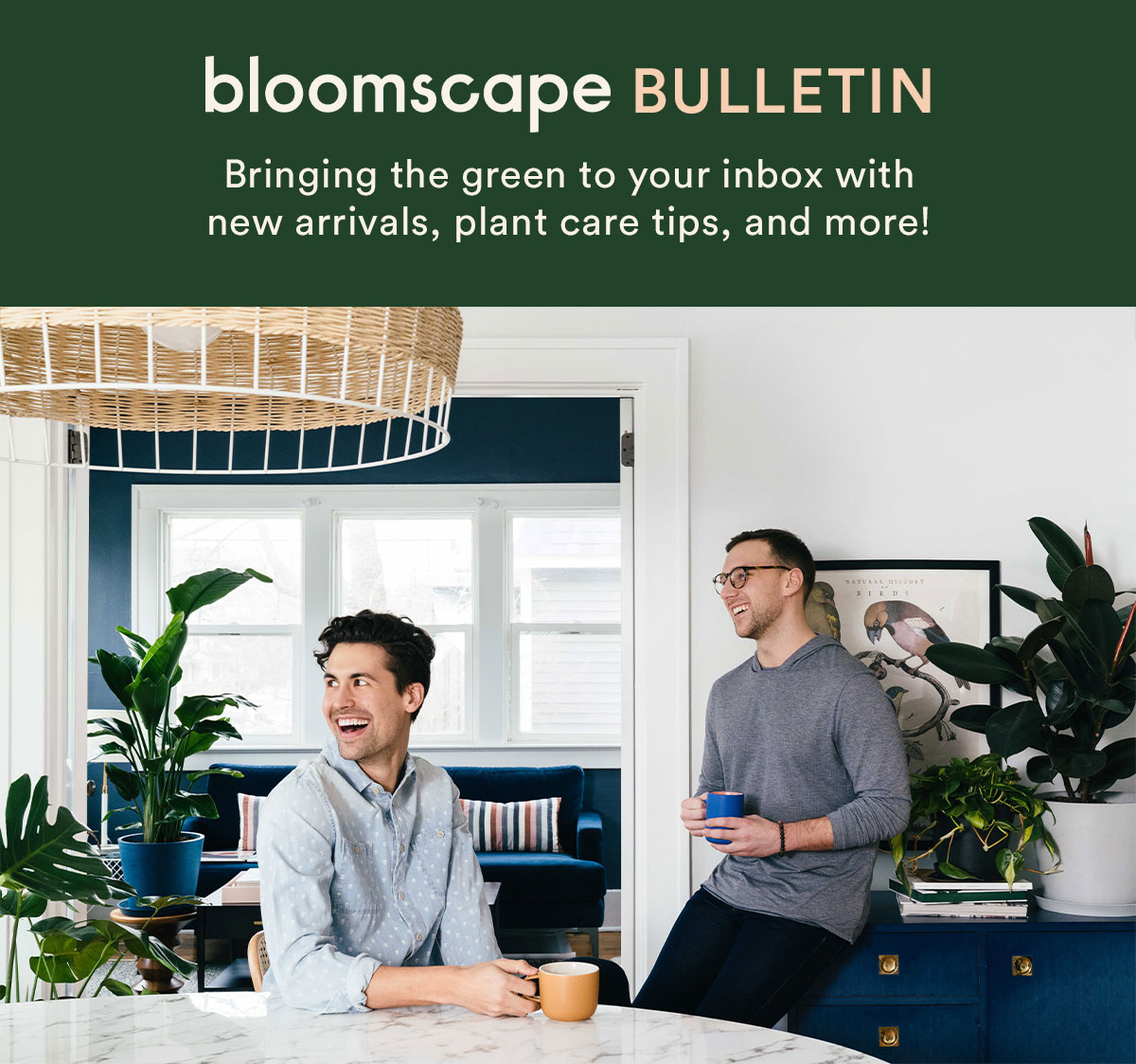 The Bloomscape Bulletin