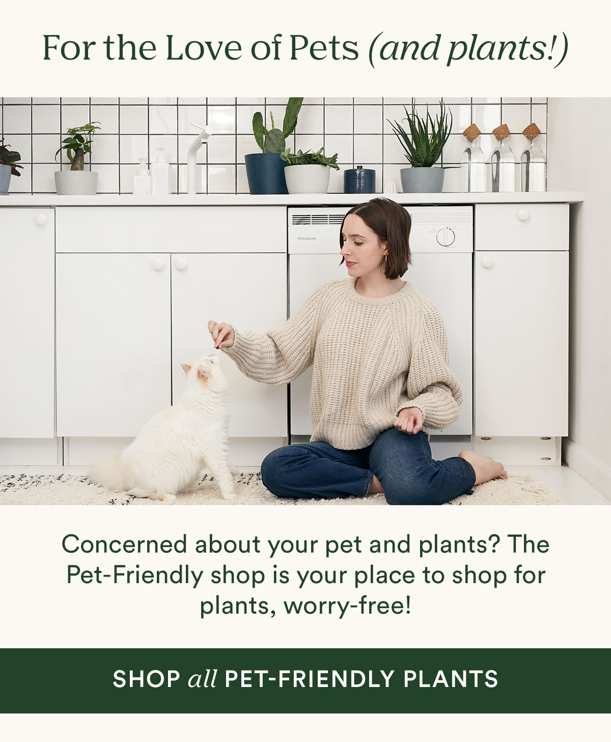 Shop Pet-Friendly Plants