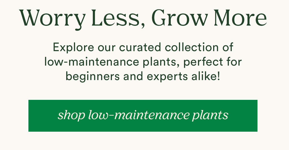 shop low-maintenance plants