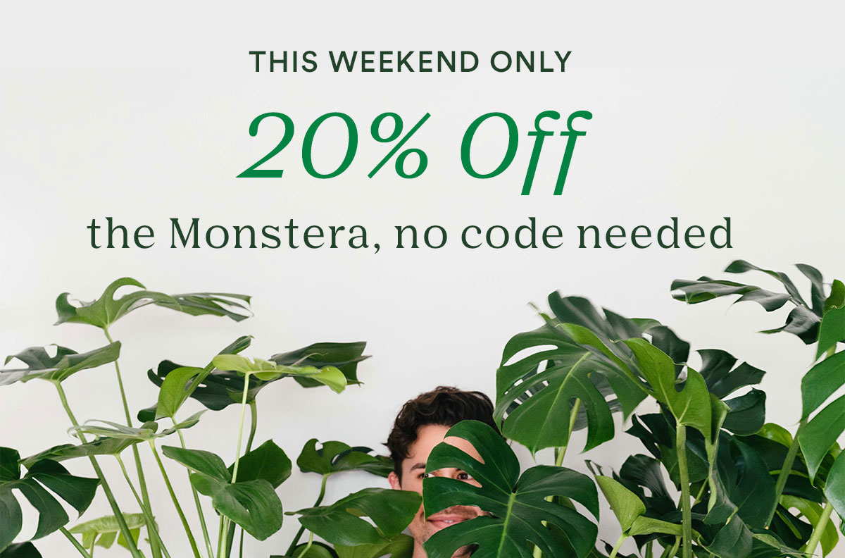 This weekend only, save 20% on the monstera