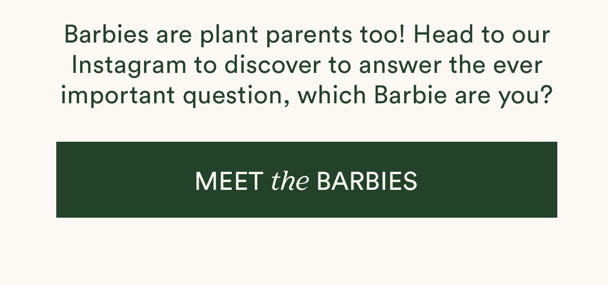 meet the Barbies on Insta