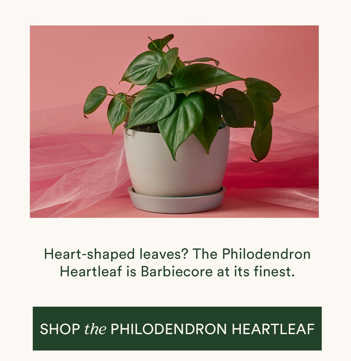Shop Philo Heartleaf