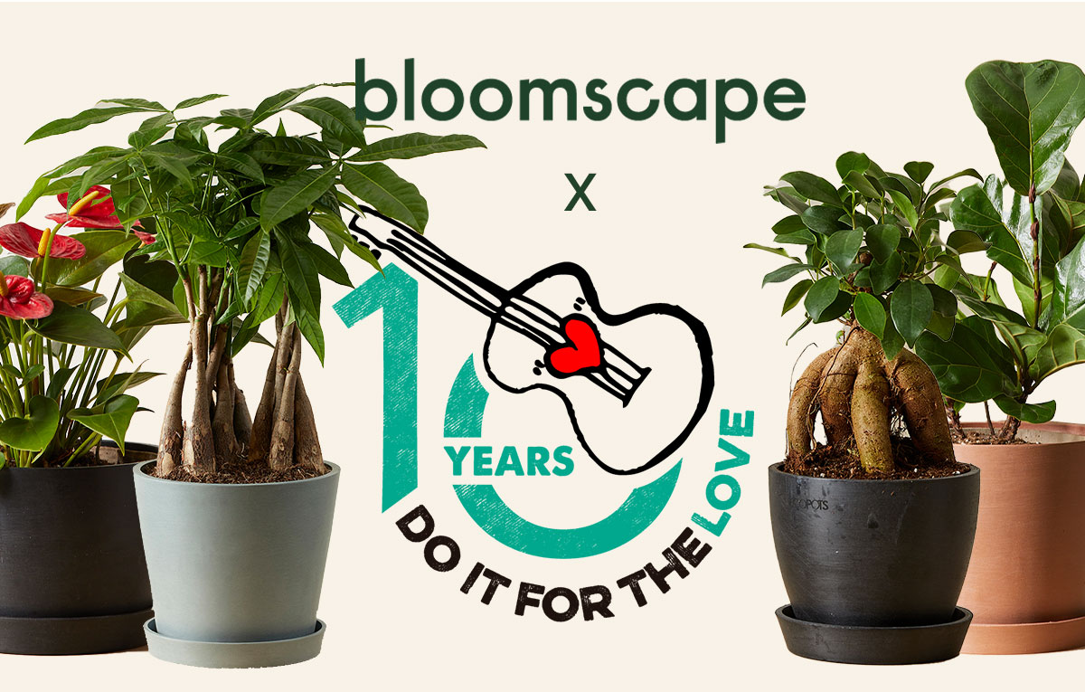 Bloomscape x Do It For The Love