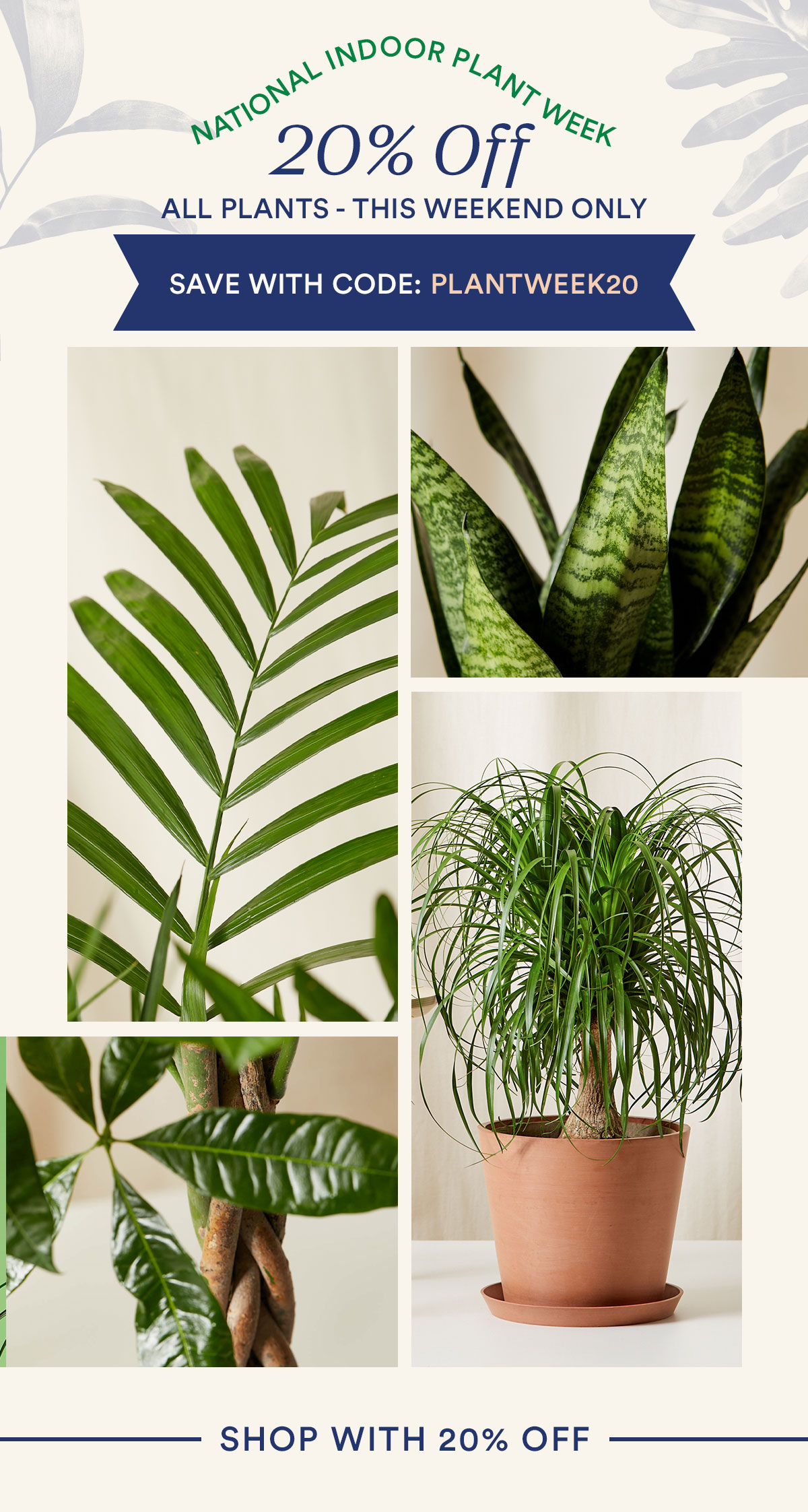 Shop 20% off plants
