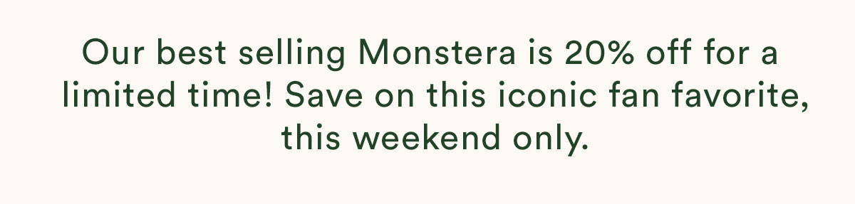Shop the Monstera