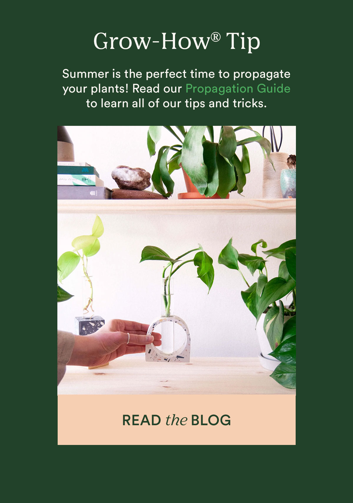 read the propagation guide