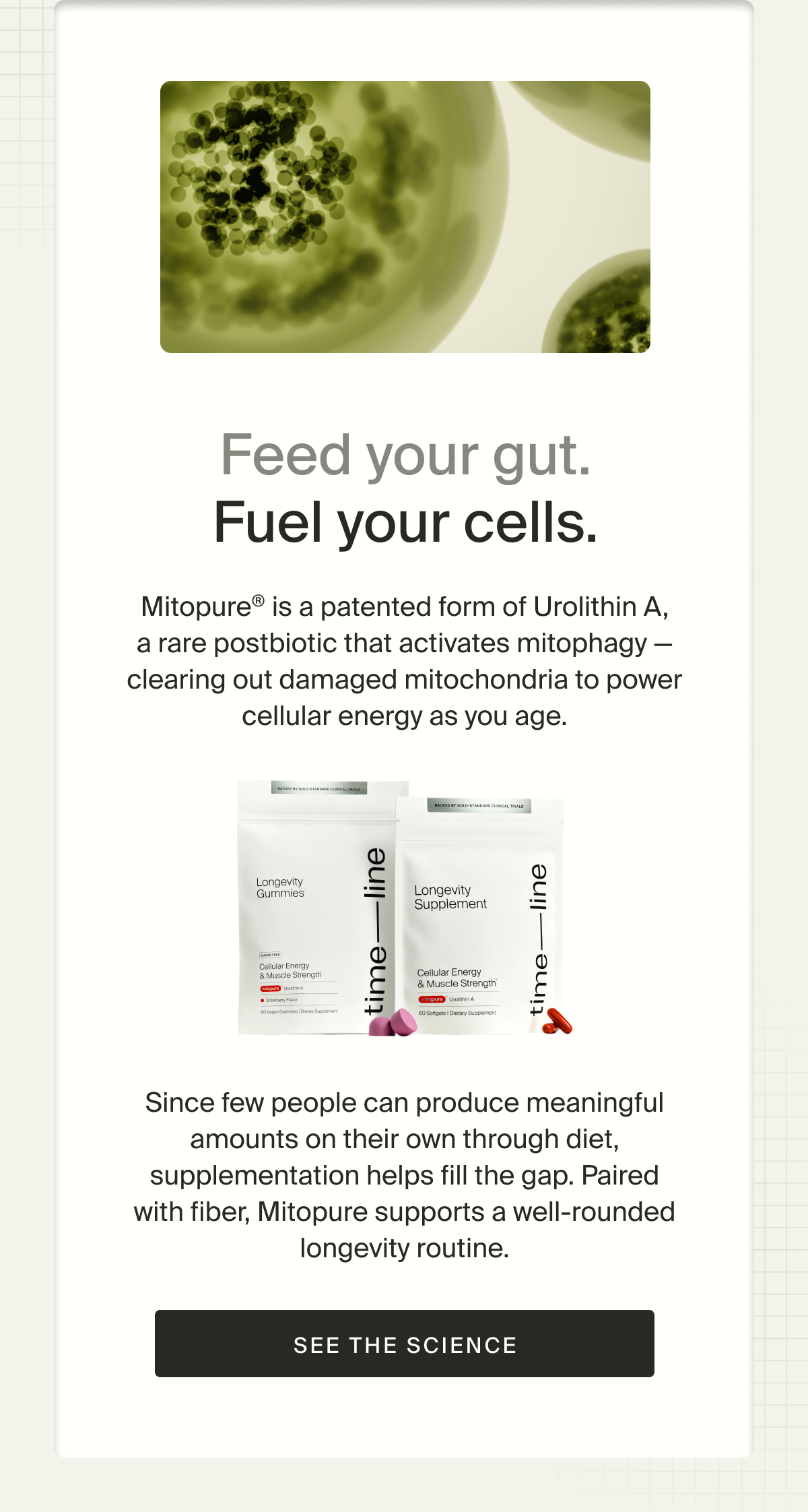 A fiber-rich diet supports healthy aging, but it’s only part of the equation. Mitopure is a patented form of Urolithin A, a rare postbiotic that activates mitophagy — clearing out damaged mitochondria to power cellular energy as you age. Since few people can produce meaningful amounts on their own through diet, supplementation helps fill the gap.