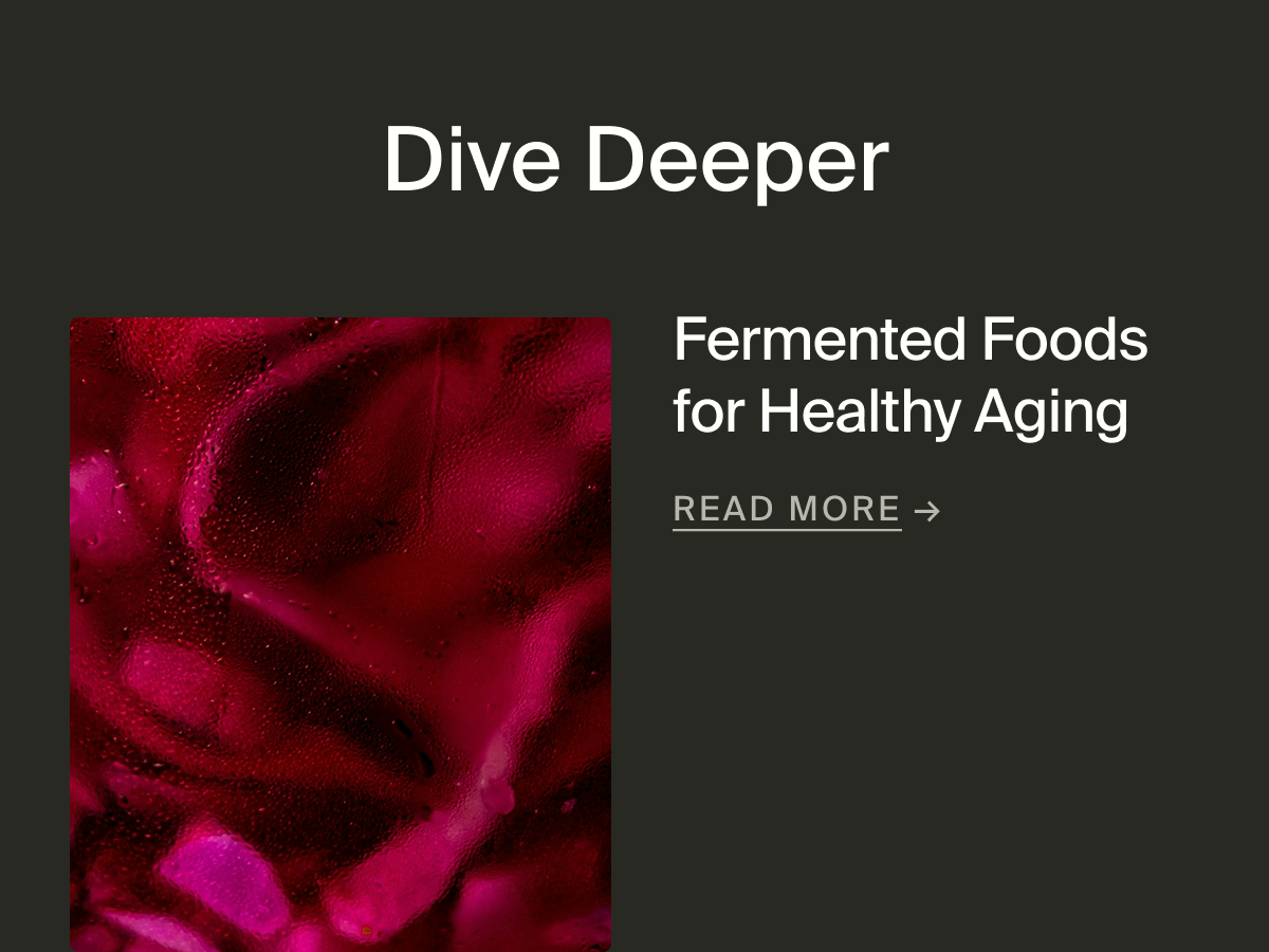 Fermented Foods for Healthy Aging | Read More