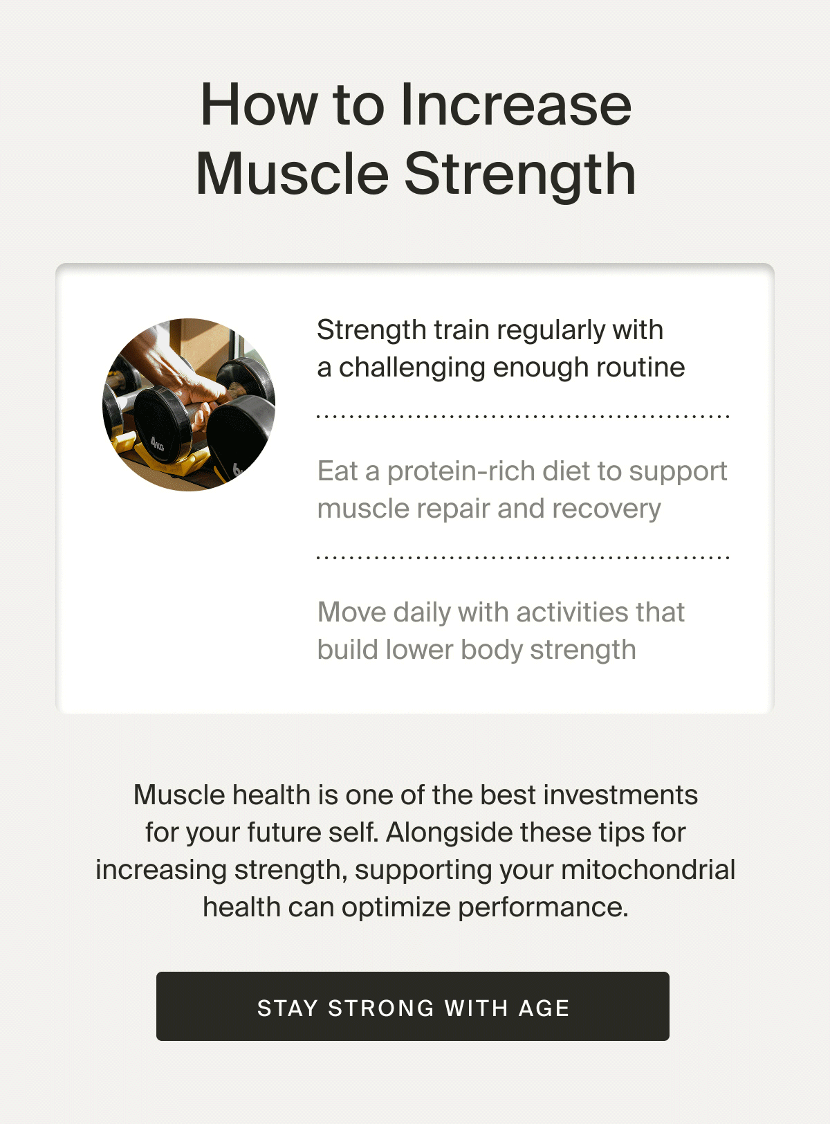 Muscle health is one of the best investments in your future self. Alongside these tips for increasing strength, supporting your mitochondrial health can optimize performance. | Stay Strong with Age