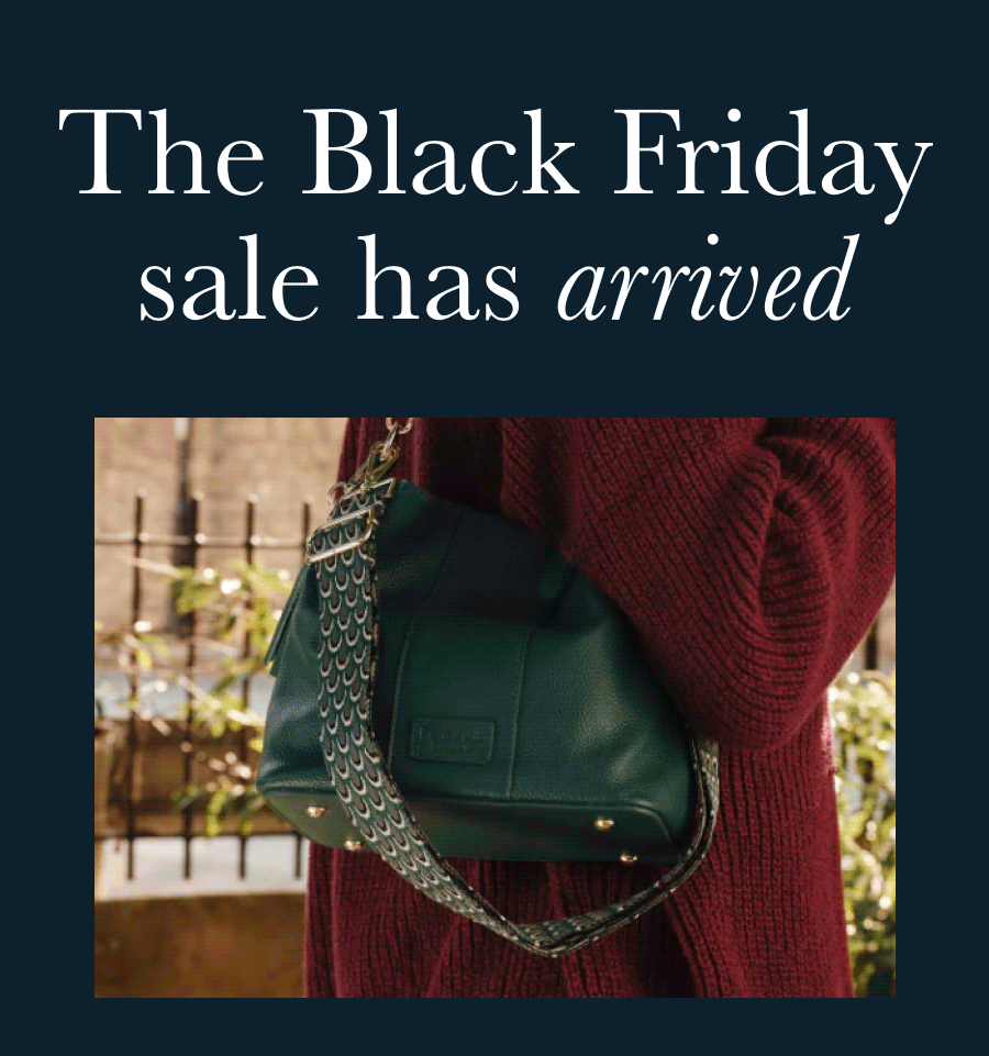 The Black Friday sale
