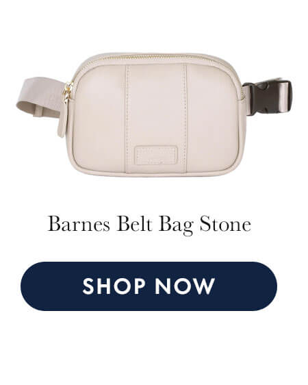 Barnes Belt Bag Stone