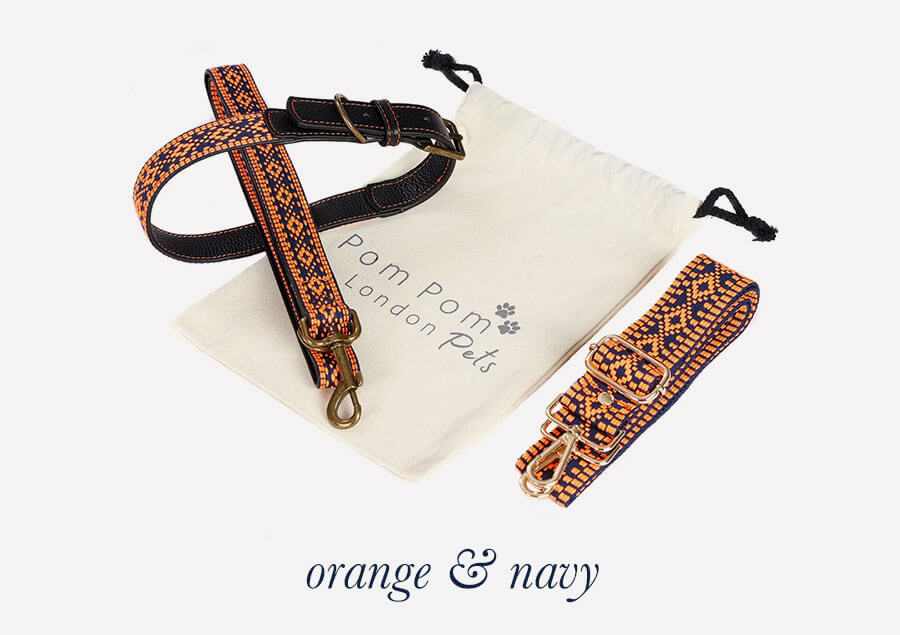 Collar and Lead Set - Orange & Navy