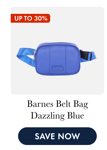 Barnes Belt Bag Dazzling Blue