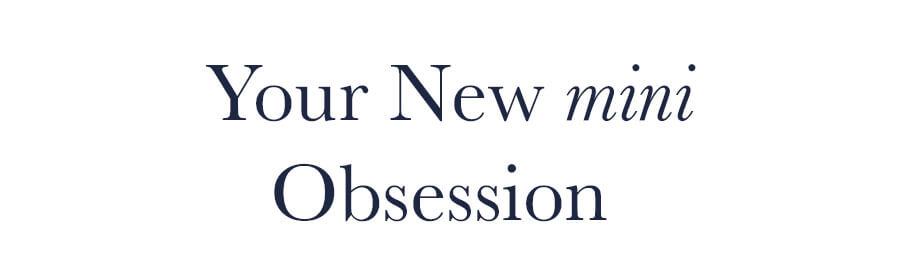 Your New Mini Obsession 
