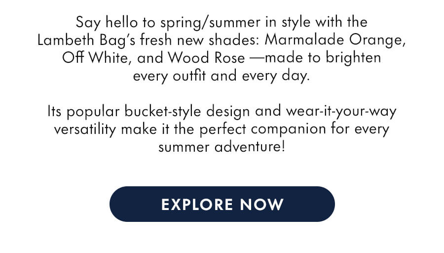Lambeth Bag new SS25 shades