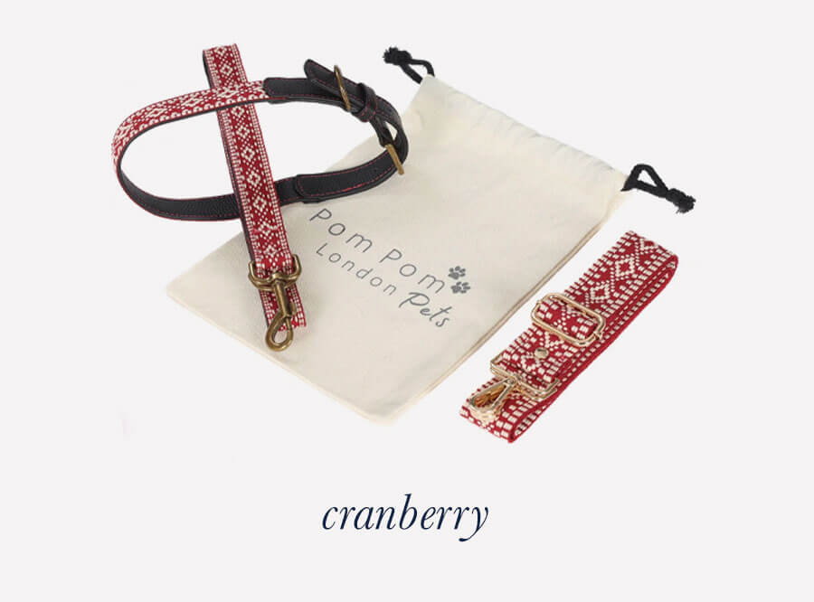 Collar and Lead Set - Cranberry