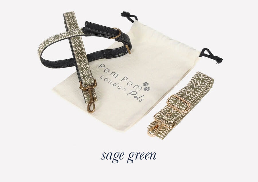 Collar and Lead Set - Sage Green