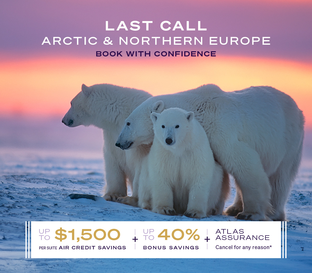 LAST CALL BOOK WITH CONFIDENCE: Three polar bears at sunset on the ice in the Arctic