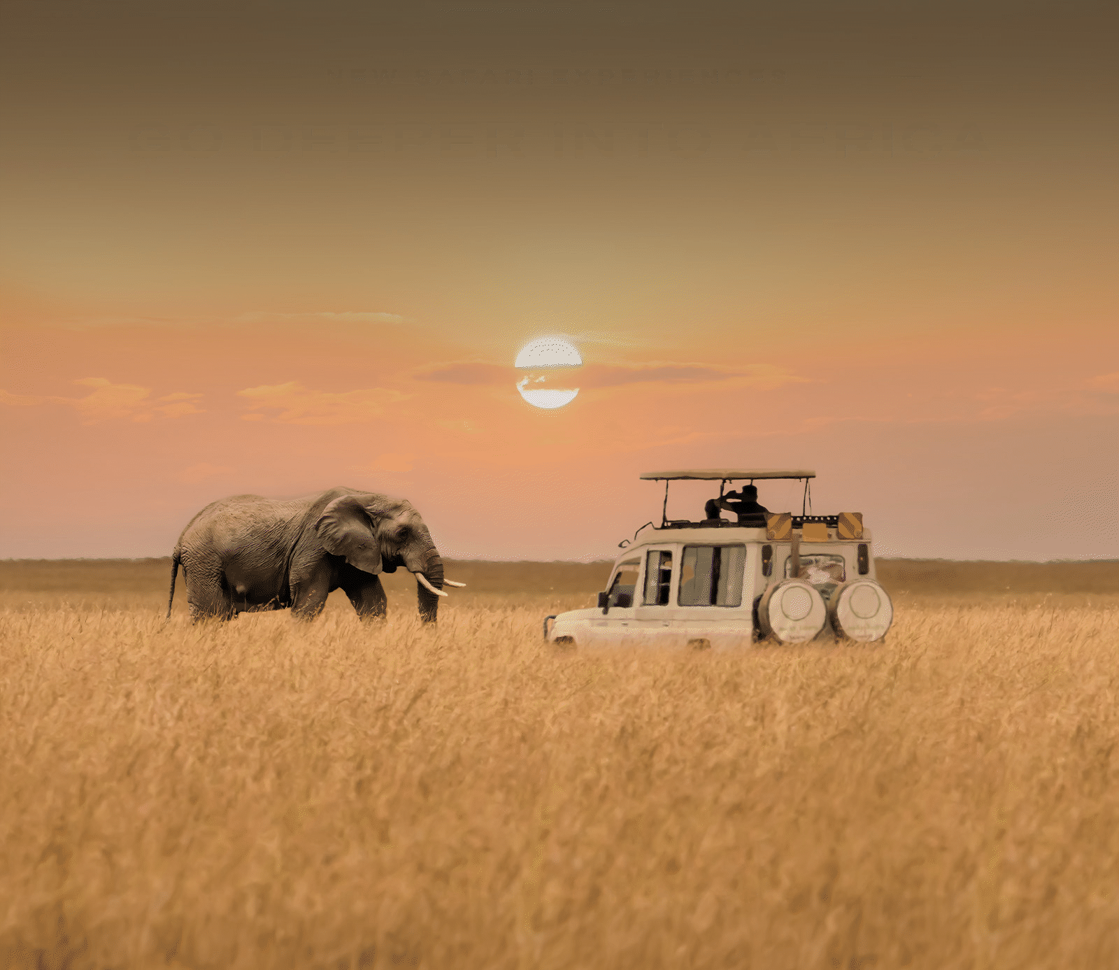 JUST ANNOUNCED Africa Safari Land Programs
