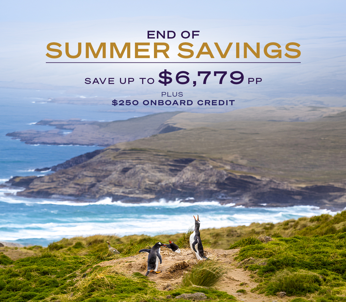 END OF SUMMER SAVINGS SAVE UP TO $6,779 PP PLUS $250 ONBOARD CREDIT | Gentoo penguins in the landscape of the Falkland Islands