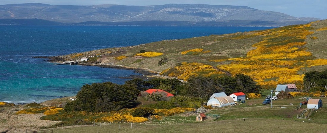 Carcass Island, Falkland Islands