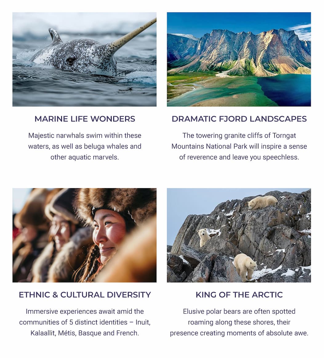 wildlife wonders