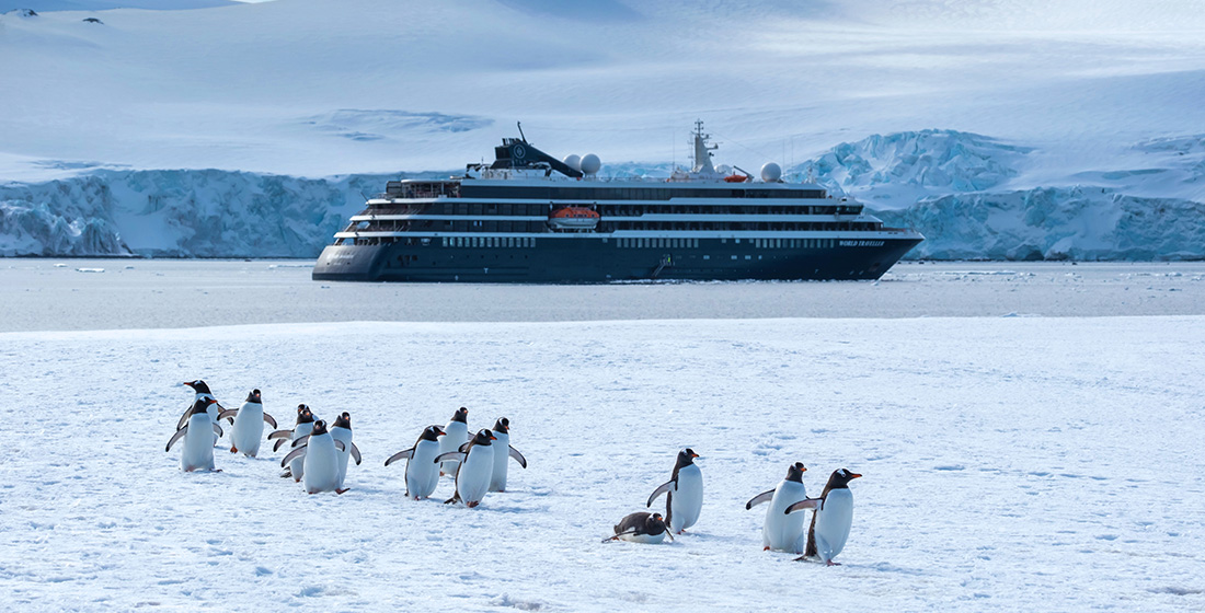 Atlas yacht sailing in Antarctica with Gentoo penguins waddling on shore