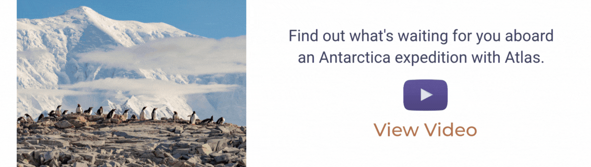 ANTARCTICA EXPEDITION WITH ATLAS.
