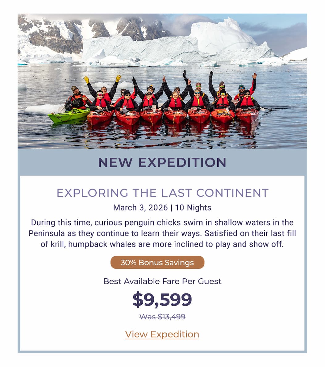 NEW EXPEDITION
