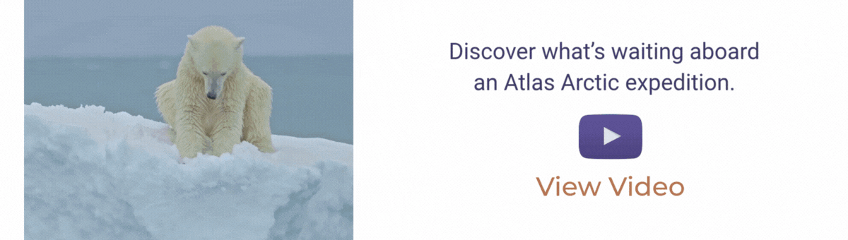 discover what's waiting aboard an Atlas Arctic expedition.