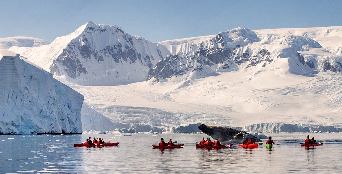 Atlas Explorers on a sea kayaking excursion in Antarctica witnessing a whale breach right in front of them