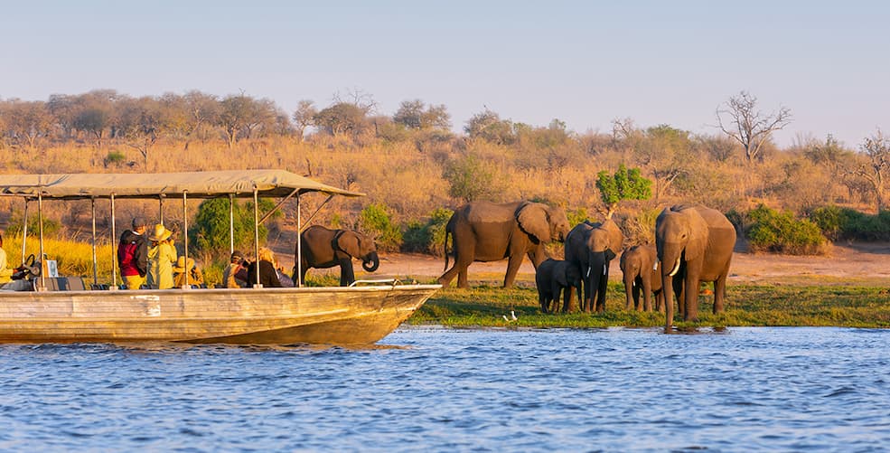 BOTSWANA SAFARI – OKAVANGO  DELTA & CHOBE