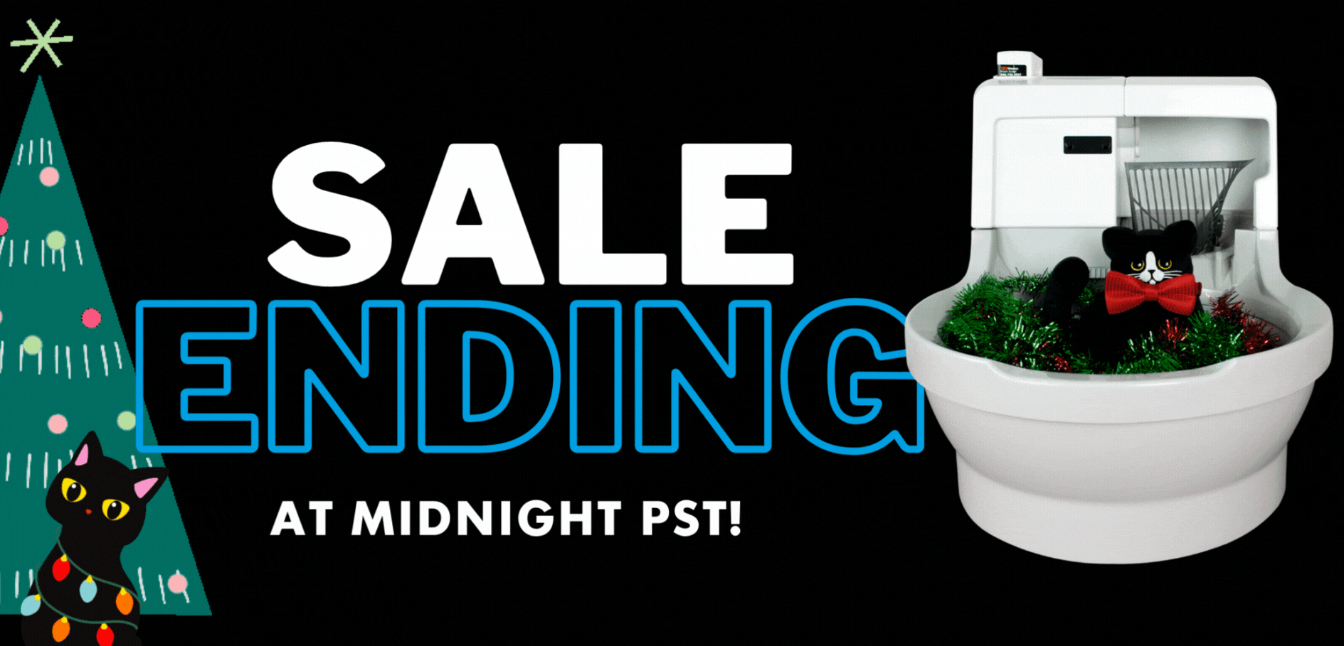 ⌛🕛TIME'S UP!! 🙀 Cat Genie