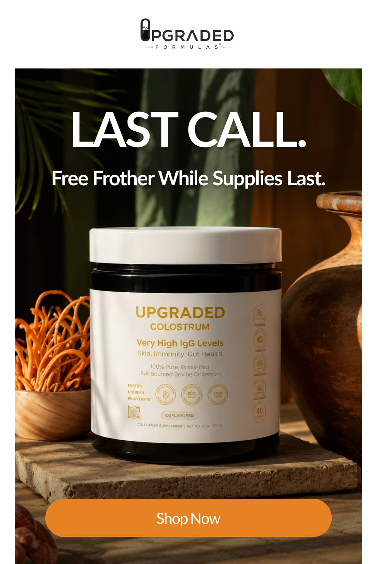 Last Call. | Free Frother While Supplies Last.