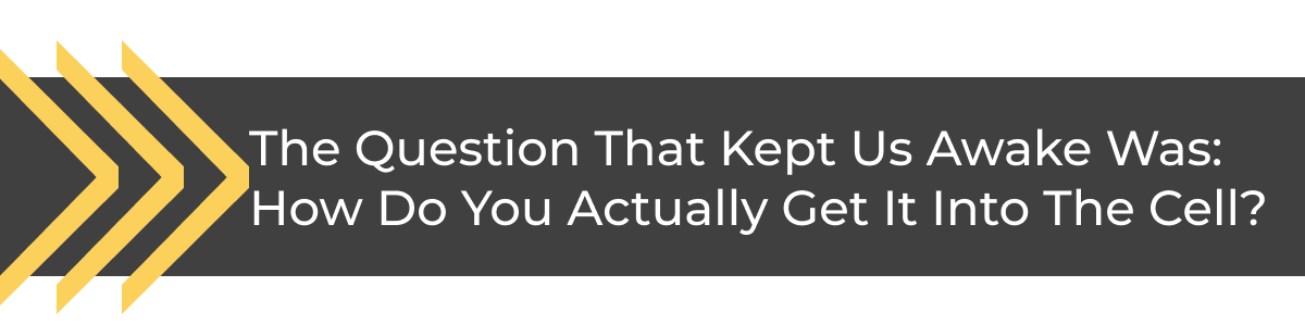 an image of a cell phone with the text the question that kept us awake was how do you