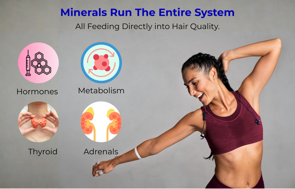 Minerals run the system