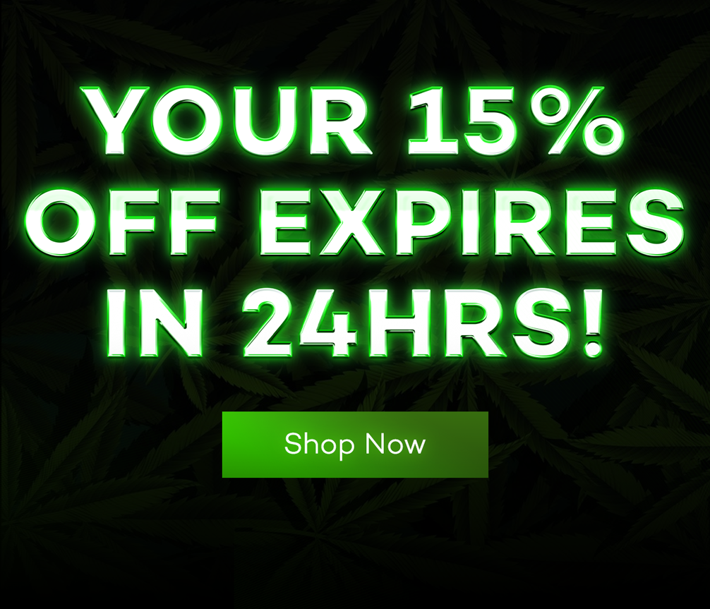 Your 15 % OFF Expires In 24 hrs