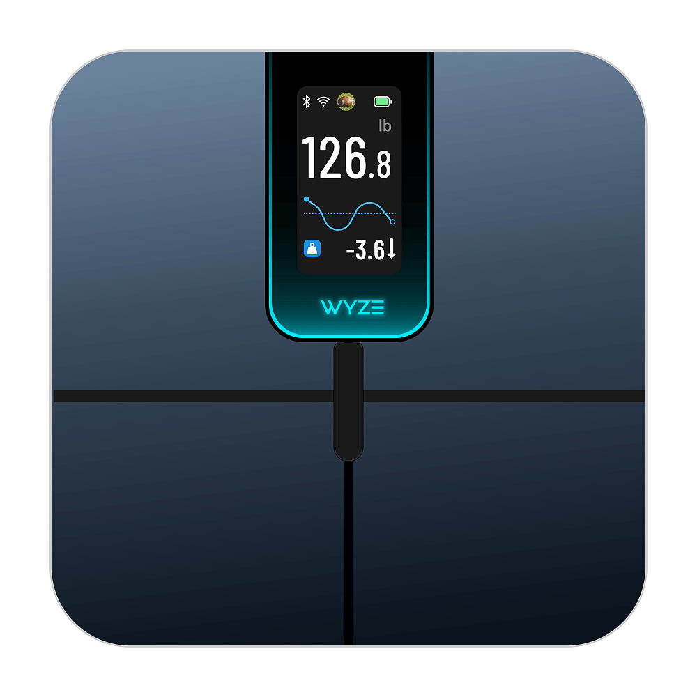 Scale Ultra
