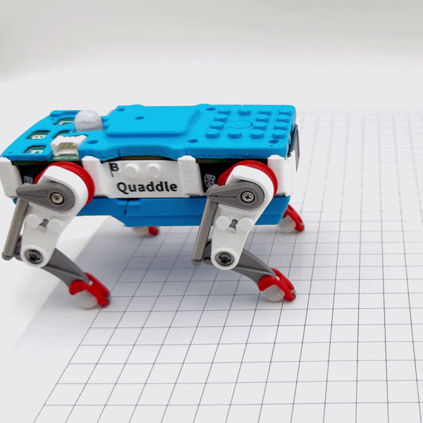 Quaddle Slides