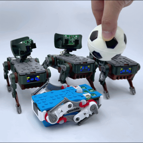 Quaddle Scouts tracking a Football
