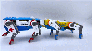 Quaddle with his buddy
