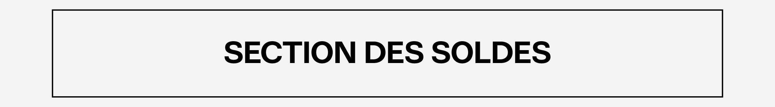 SECTION DES SOLDES