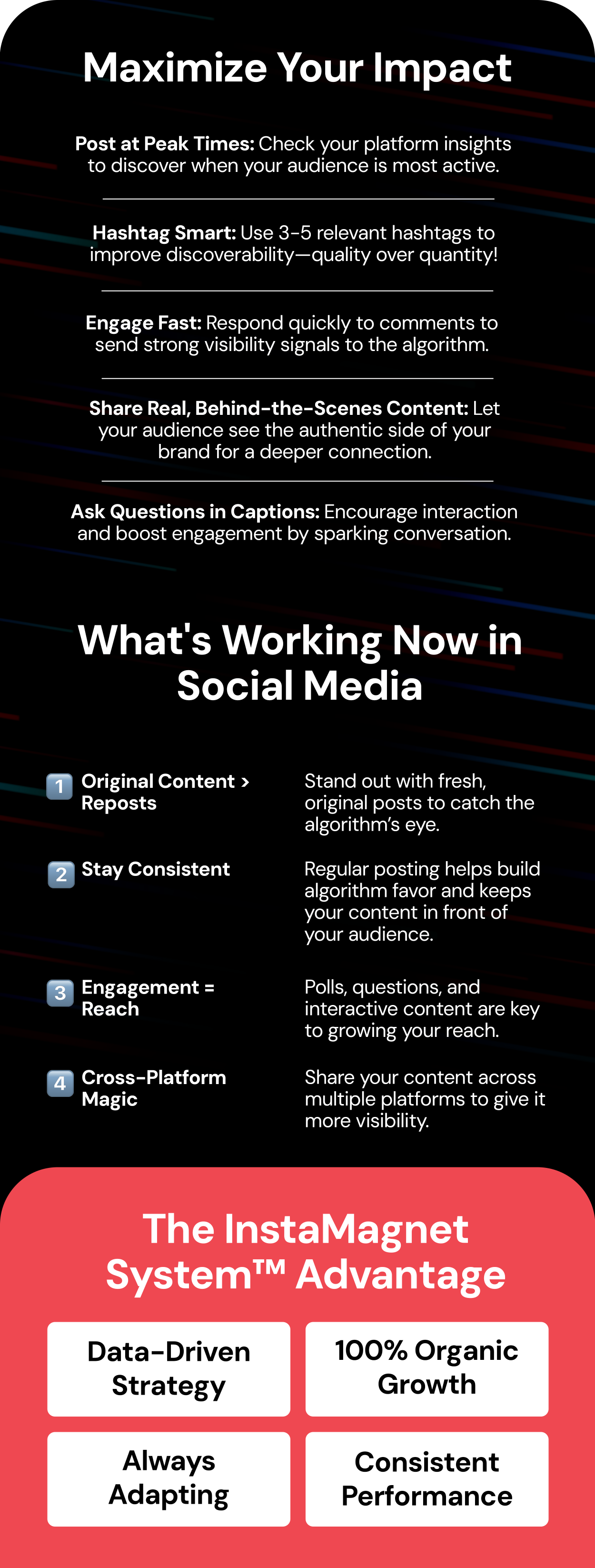 Algorithm Mastery Guide