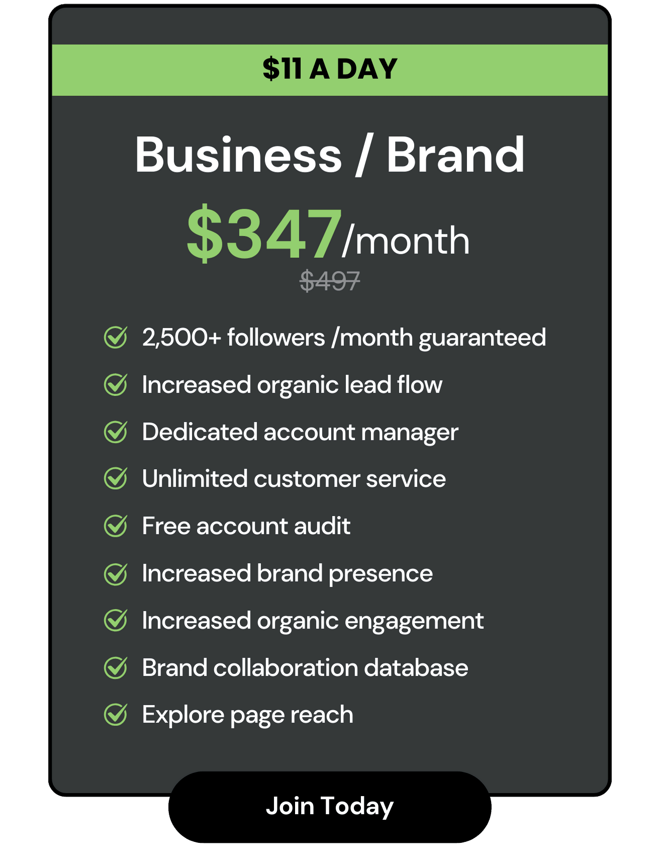 Business / Brand Package