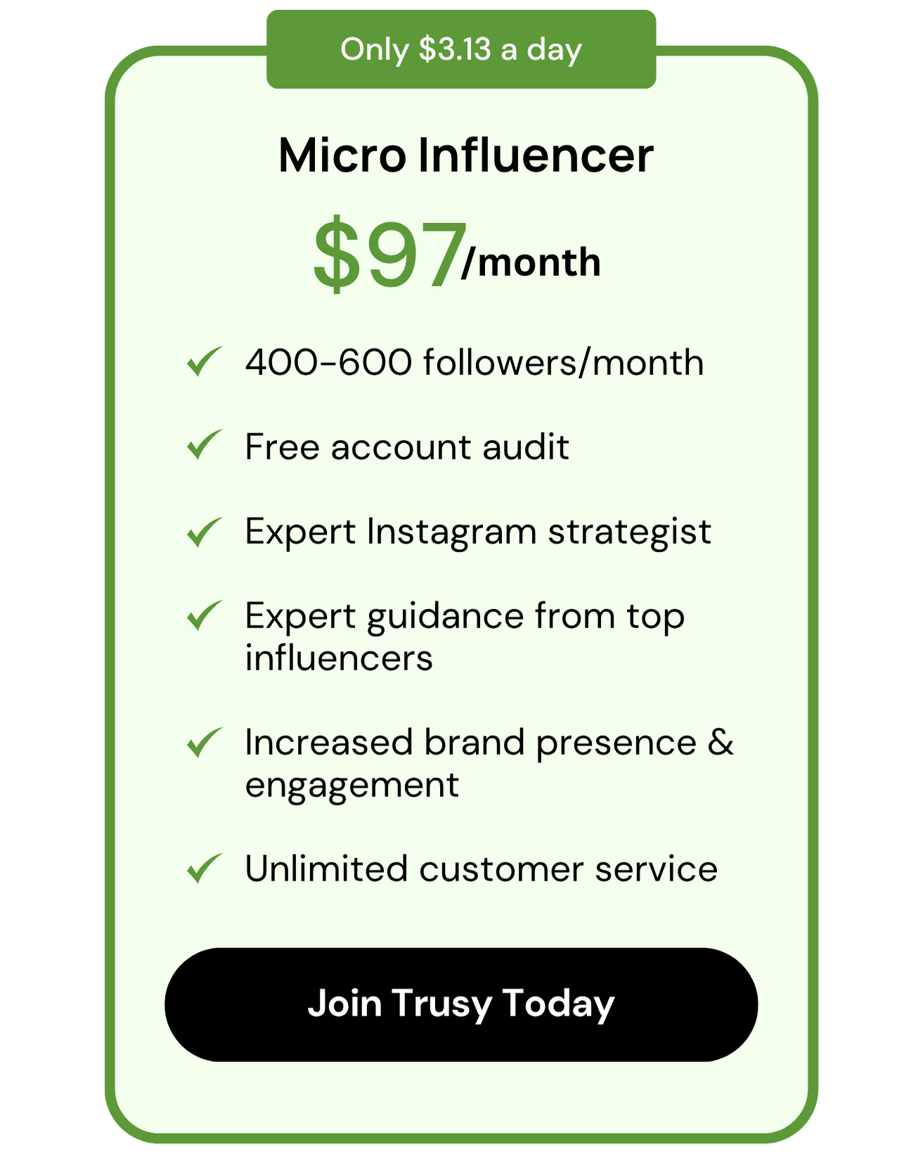 Micro Influencer