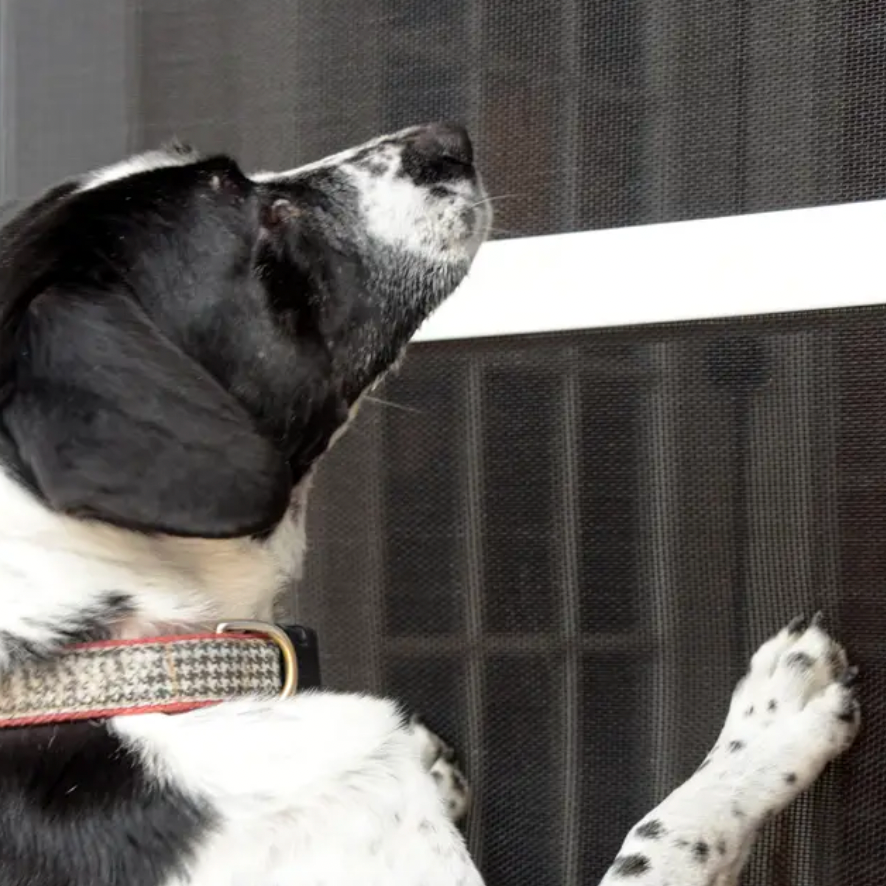 Enjoy the fresh air with new custom sliding screen doors! Metro