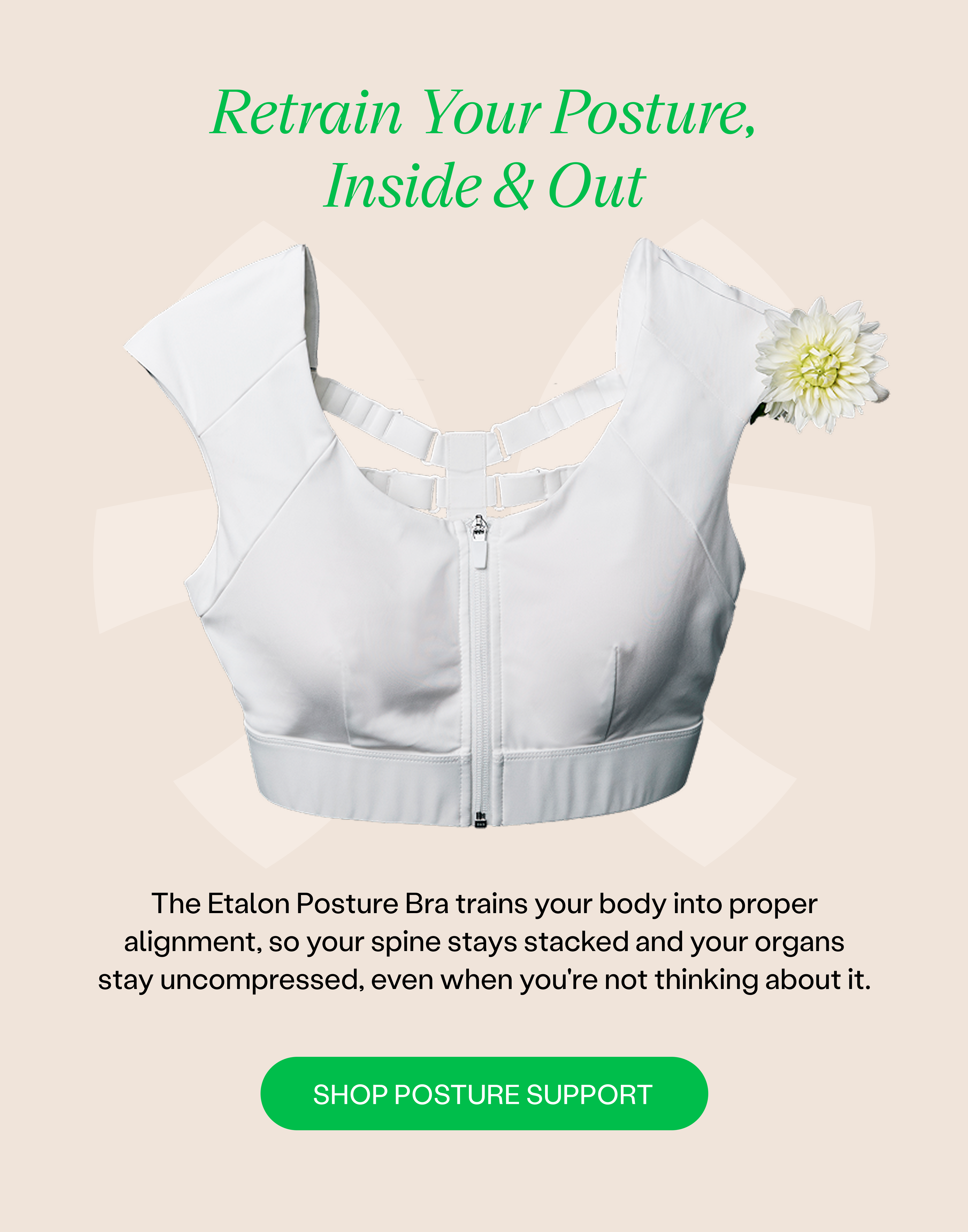 Shop Posture Support >